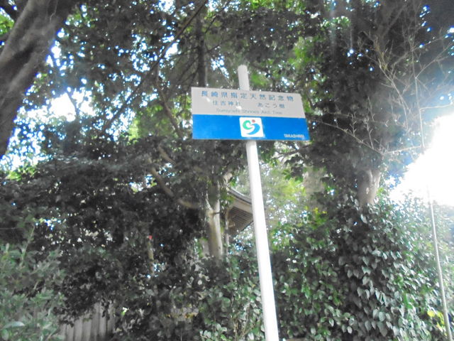 ̑铇Zg_Ђ̃ARE̓eʐ^2