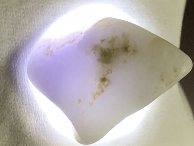 ���x���_�[�q�X�C_�q�X�C�C��