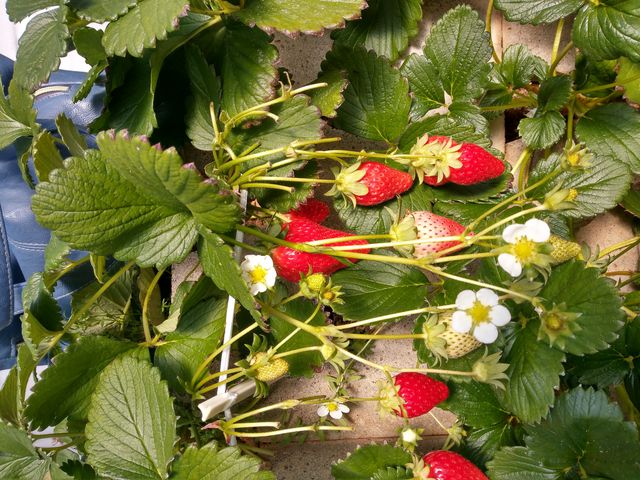 �����������Ȃ���������_���ǉ�