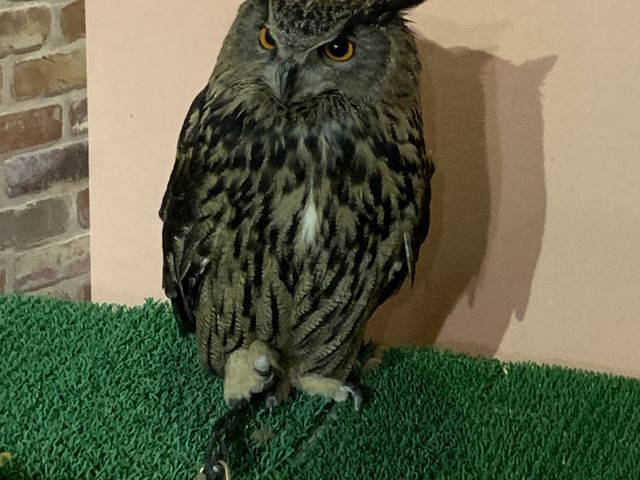 i1Ԃł1ԃVCj_ANAtHXg@-̐X-