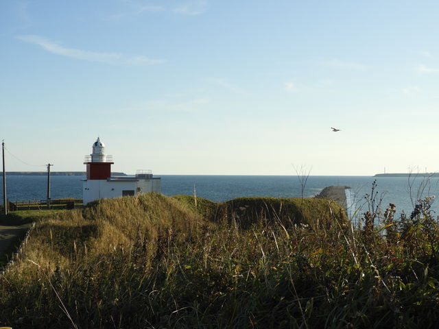 ����̐�ɎԐ�_�����Ԑ�