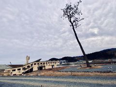 ܂񂳂̊Ղ̈{ւ̓eʐ^1