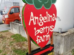 入り口の看板。行くまでの道にも何ヵ所か案内が立っているのでわかりやすいです。_Angelina berrys farm