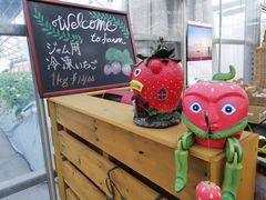 Angelina berrys farmւ̓eʐ^3