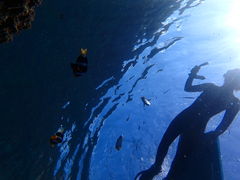 炳Nature Guide Double Rainbow lC`[KCh@_uC{[ւ̓eʐ^1