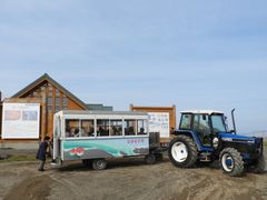 zin̖tlC`[Z^[ւ̓eʐ^2