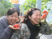 Jack@Bauer̃iKV}t@[@̓eʐ^4