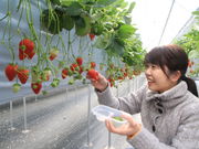 Jack@Bauer̃iKV}t@[@̓eʐ^5