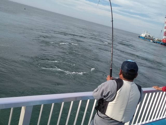 �L�^�[�I_�V�n���@�C�ނ����