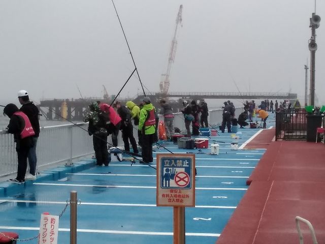 �J�ł��֌W�Ȃ��I���̐����Ԃ�B_�V�n���@�C�ނ����