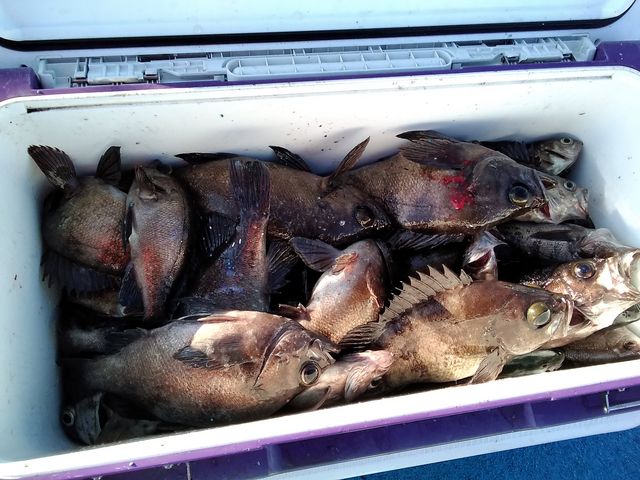 ���o������_�V�n���@�C�ނ����