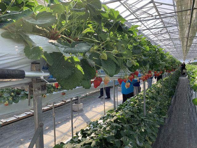 ���̗l�q_�x�ÃA�N�A�t�@�[��