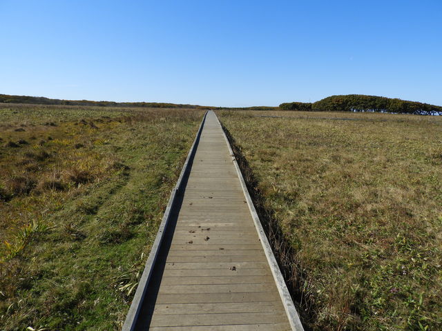 �k�������ԉ��@���̍L���k�C������_�k�������ԉ�