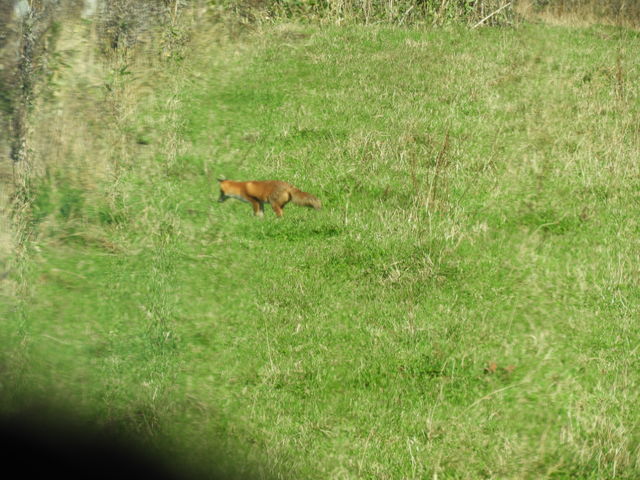 �L�^�L�c�l�̎p��_�k�������ԉ�