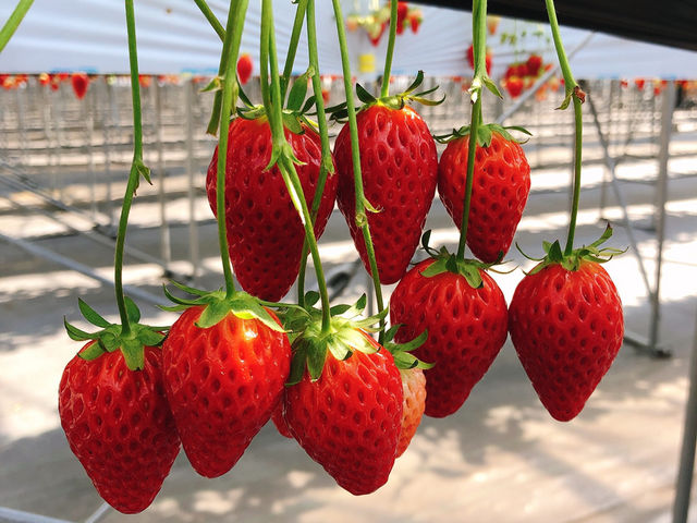 ������_�������̗��@�������_��