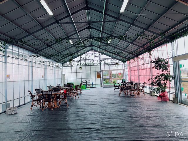 �x�e��������܂��B_���R�t�@�[���g�`�m�x�t