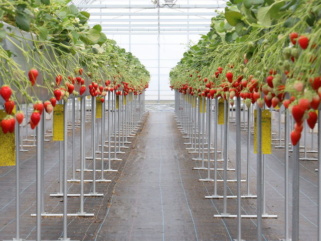 ܂܂܂񂪁A󂢂ĂĉKłBƑň񊄓Ă܂B_RԂǂ