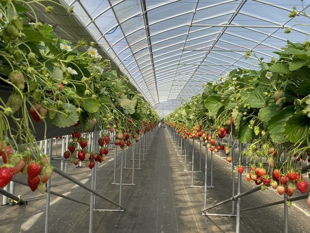 ���Ⴊ�܂Ȃ��̂ŗm���͉���Ȃ��ł��I_���͂�_��