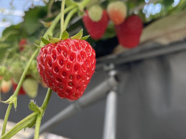 ���킢��䕔����I_���͂�_��