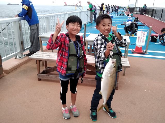 �q�������ɂ��L�^�[�I�f�J���ǁI_�V�n���@�C�ނ����