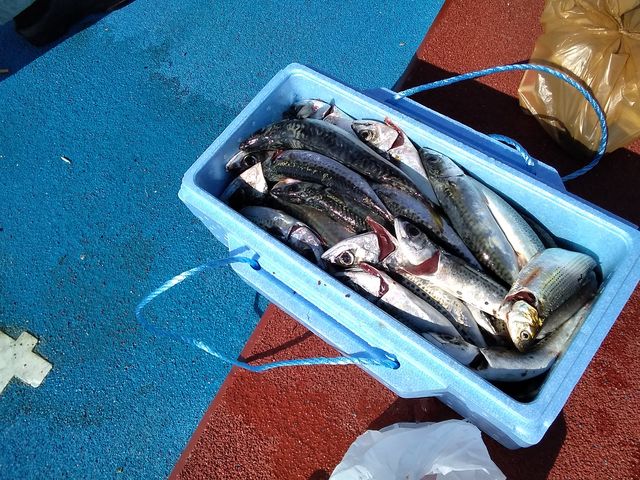 �C�i�__�V�n���@�C�ނ����