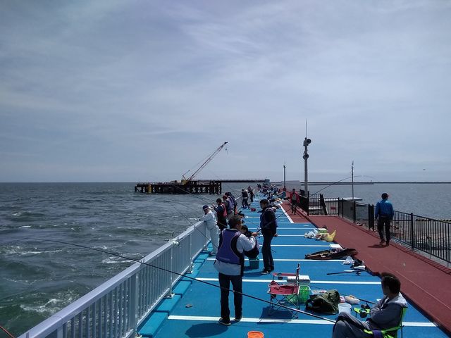 �ނ�f�b�L_�V�n���@�C�ނ����