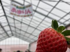 ܂񂳂̃Rt@[g`mxtւ̓eʐ^2