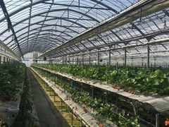 ݂コ̒x[tHXgւ̓eʐ^2