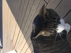 ݂コ̒x[tHXgւ̓eʐ^3