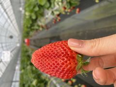 ɂƂ肳̈h-ؔV_-ւ̓eʐ^2