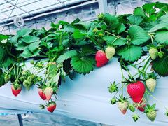 ̃Rt@[g`mxtւ̓eʐ^1