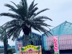 ̃Rt@[g`mxtւ̓eʐ^2