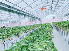 ̃Rt@[g`mxtւ̓eʐ^3