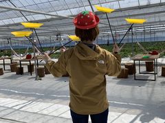 Ƃ炶̓V̂ʐ^ ܂邩ւ̓eʐ^1