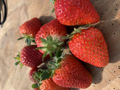 Ƃ炶̓V̂ʐ^ ܂邩ւ̓eʐ^2