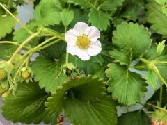 ₳̂Eu[x[_@x[̋ւ̓eʐ^1