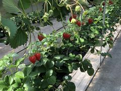 T[h}̎RFUJIt[cp[Nւ̓eʐ^1