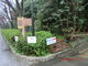 hideさんの浜松城公園への投稿写真2