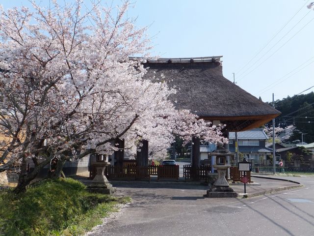 新宮神社（滋賀県甲賀市）】アクセス・営業時間・料金情報 - じゃらんnet