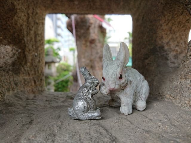 �B��Ă��邤��������_�O�֐_��