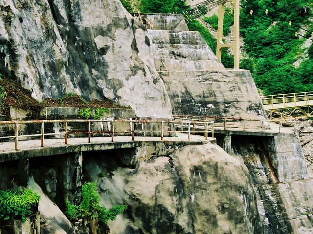 �����_��005_�����_��