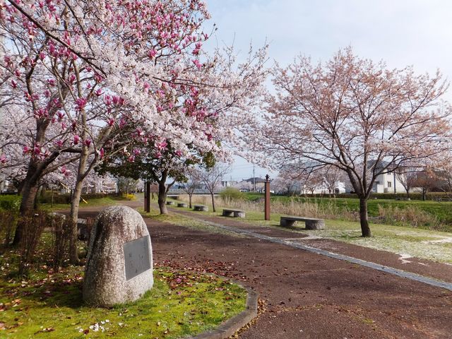 ����͐��ӌ���