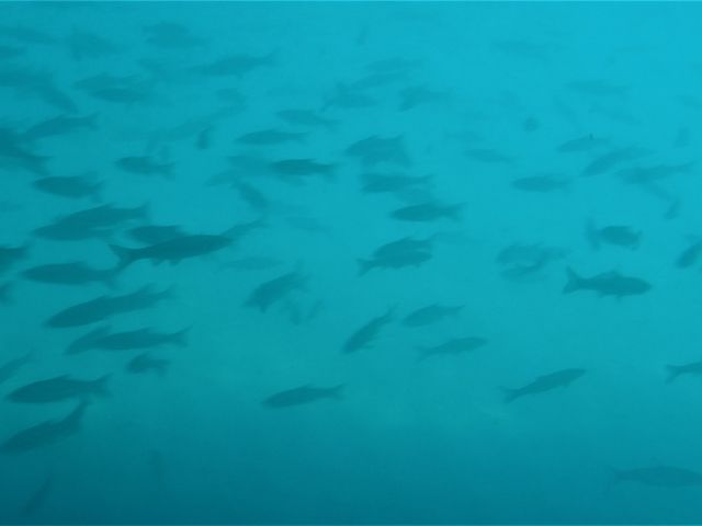 ���������܂�_�x┌Ίό��D