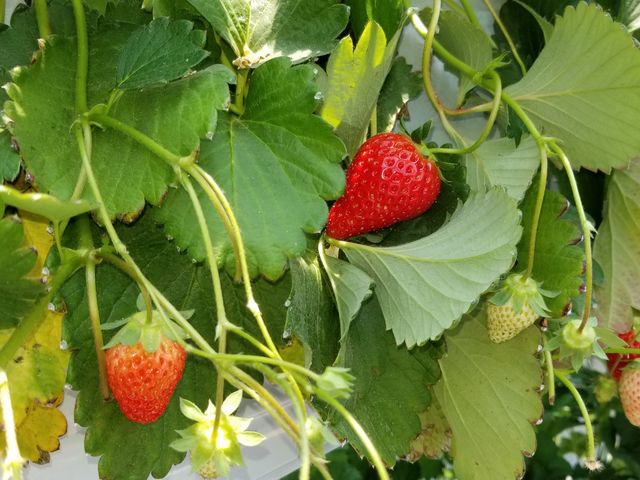 �����ڂ́A���܂����B_�x�ÃA�N�A�t�@�[��