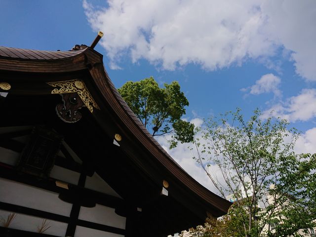 ����_�O�֐_��