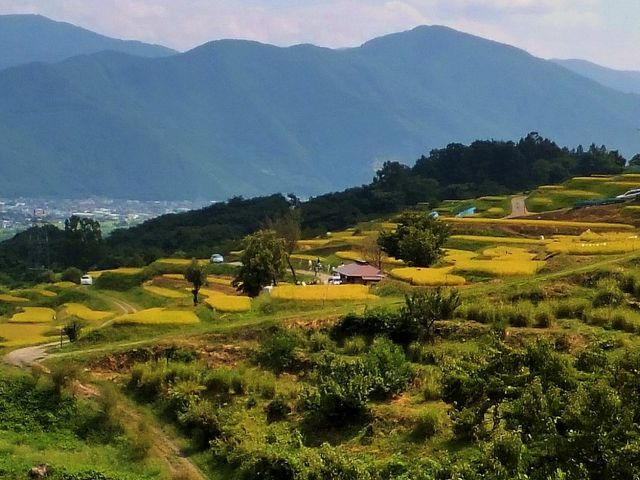 񂳂̛Ĥ̒Ic̓eʐ^1