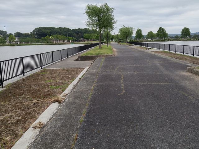 平池公園