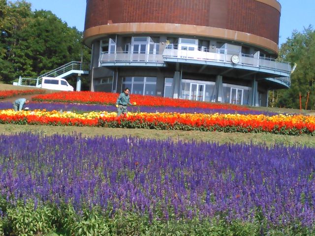 �V�s�R�ł��B_�V�s�R�W�]��