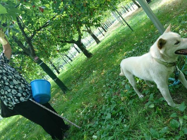 �����̓y�b�gOK_�P����