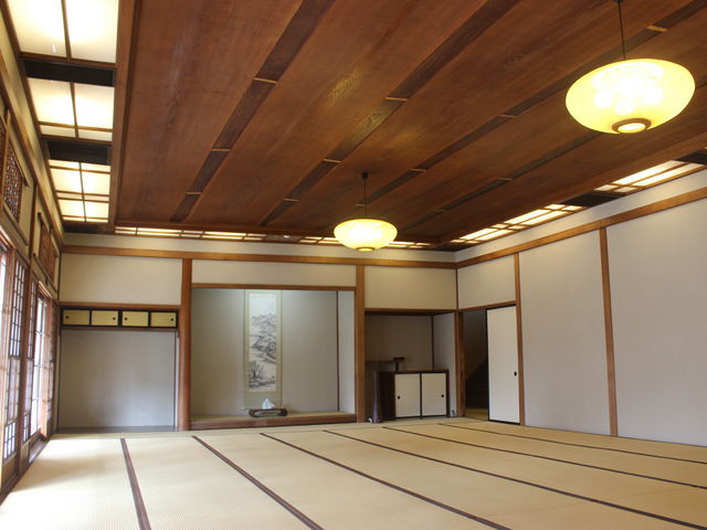 ���؂Ȍ����̓���_�\��s���������E�i���˂䂤�j